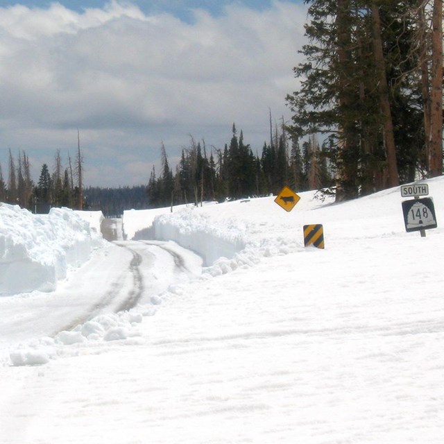Picture of road winding through meadows of white snow + road caution signs.