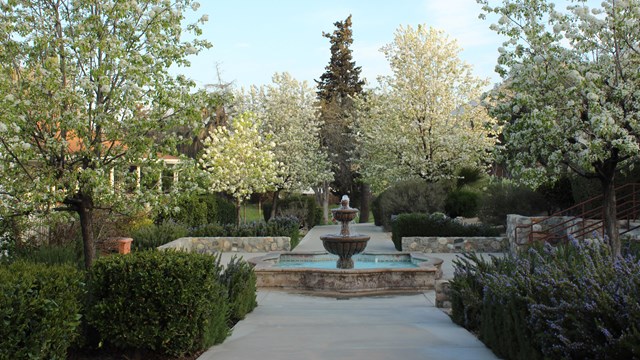 A landscaped formal path with a fountain. Trees are blooming.