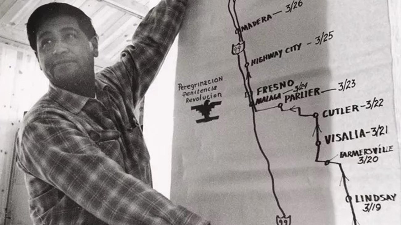 A black and white photo of Cesar Chavez pointing to a hand-drawn map of a route to Sacramento.