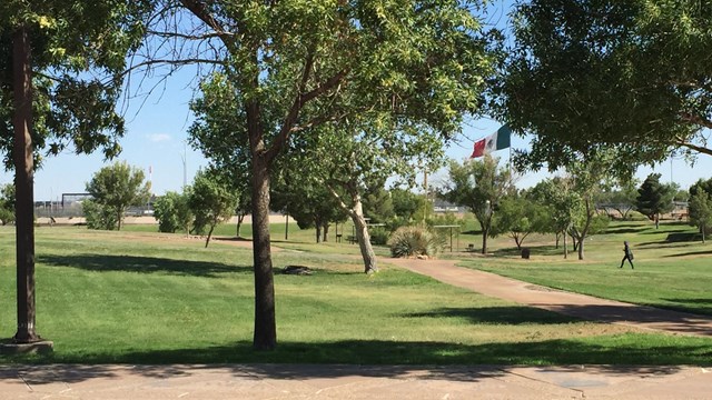 a distant view of large Mexican flag through the trees