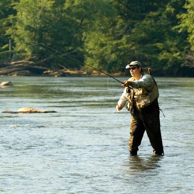Photograph of trout fisherman making a cast while wading the river.