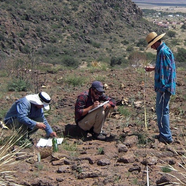 Scientists collecting plant data in the desert.