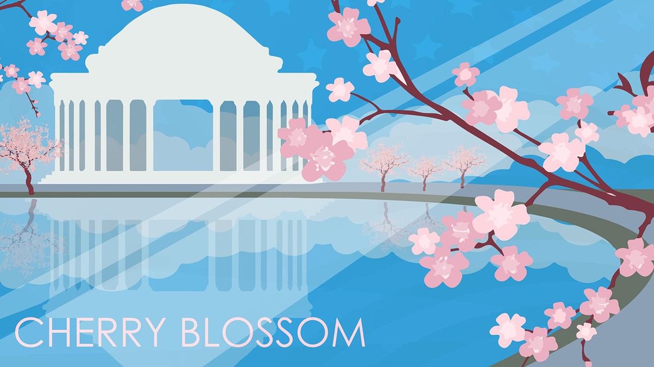 Graphic of the Thomas Jefferson Memorial with Cherry Blossoms surrounding it. 