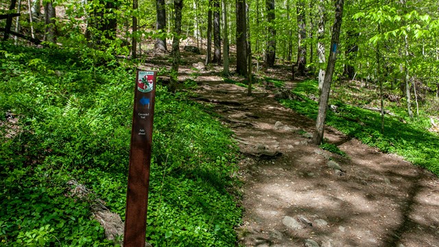 A small trail marker along a trail through the woods.