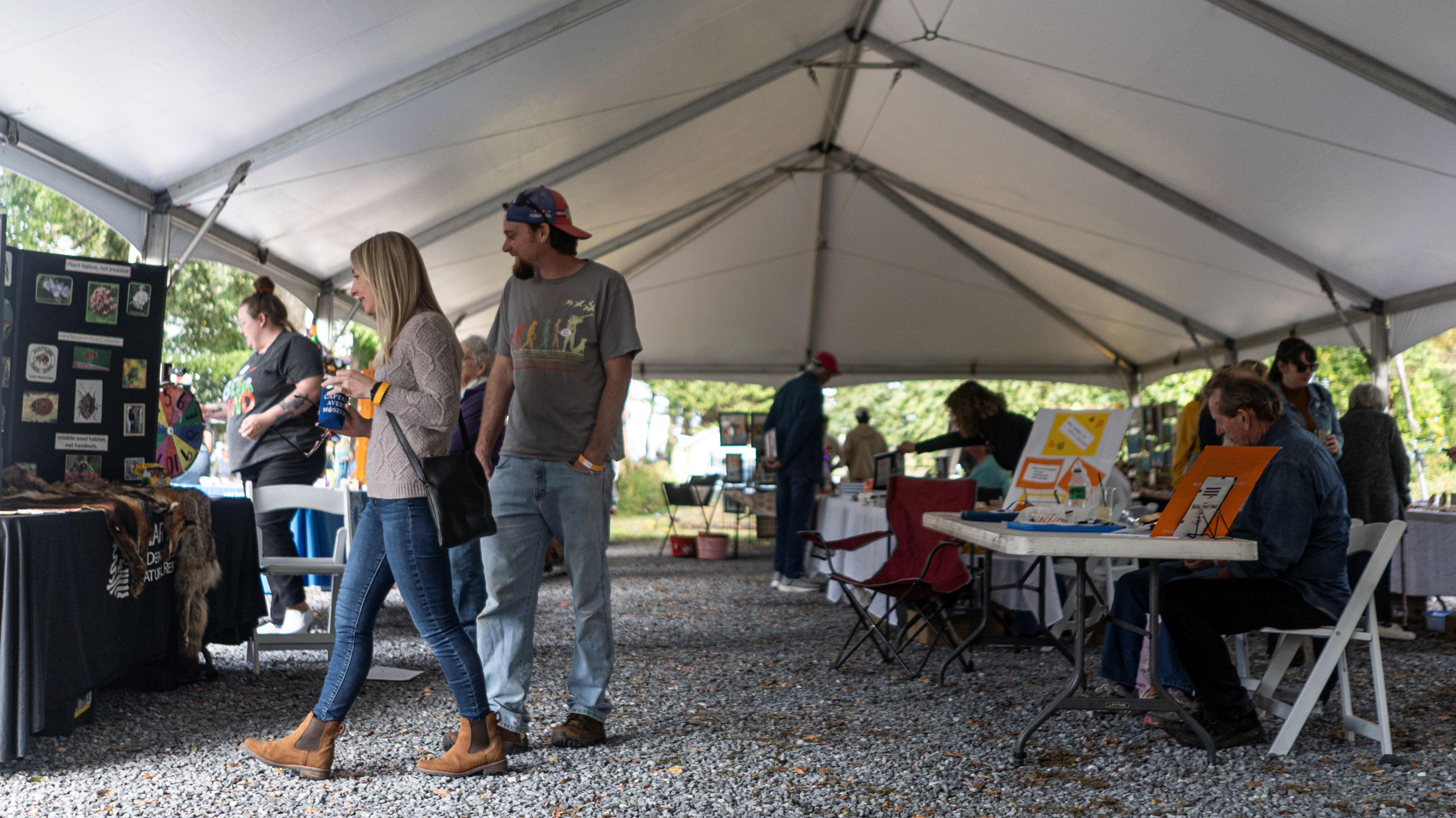 People exploring an outdoor festival with informational booths and displays.