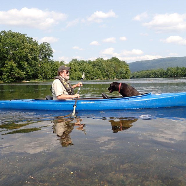 A kayaker on a body of water.