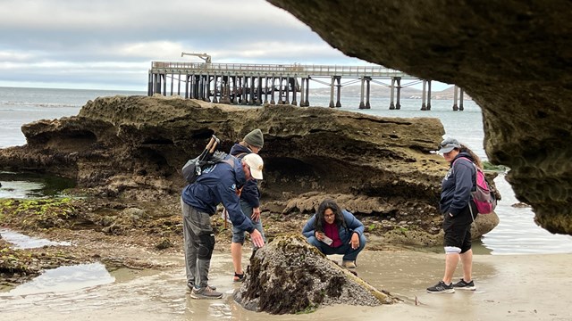 teachers at tidepools on beach