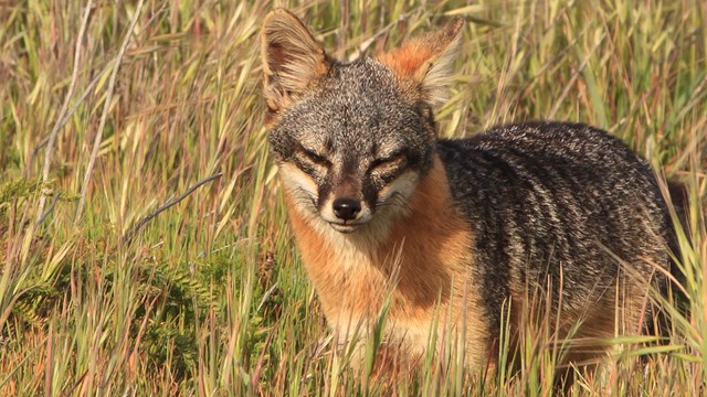 ©Tim Hauf, timhaufphotography.com