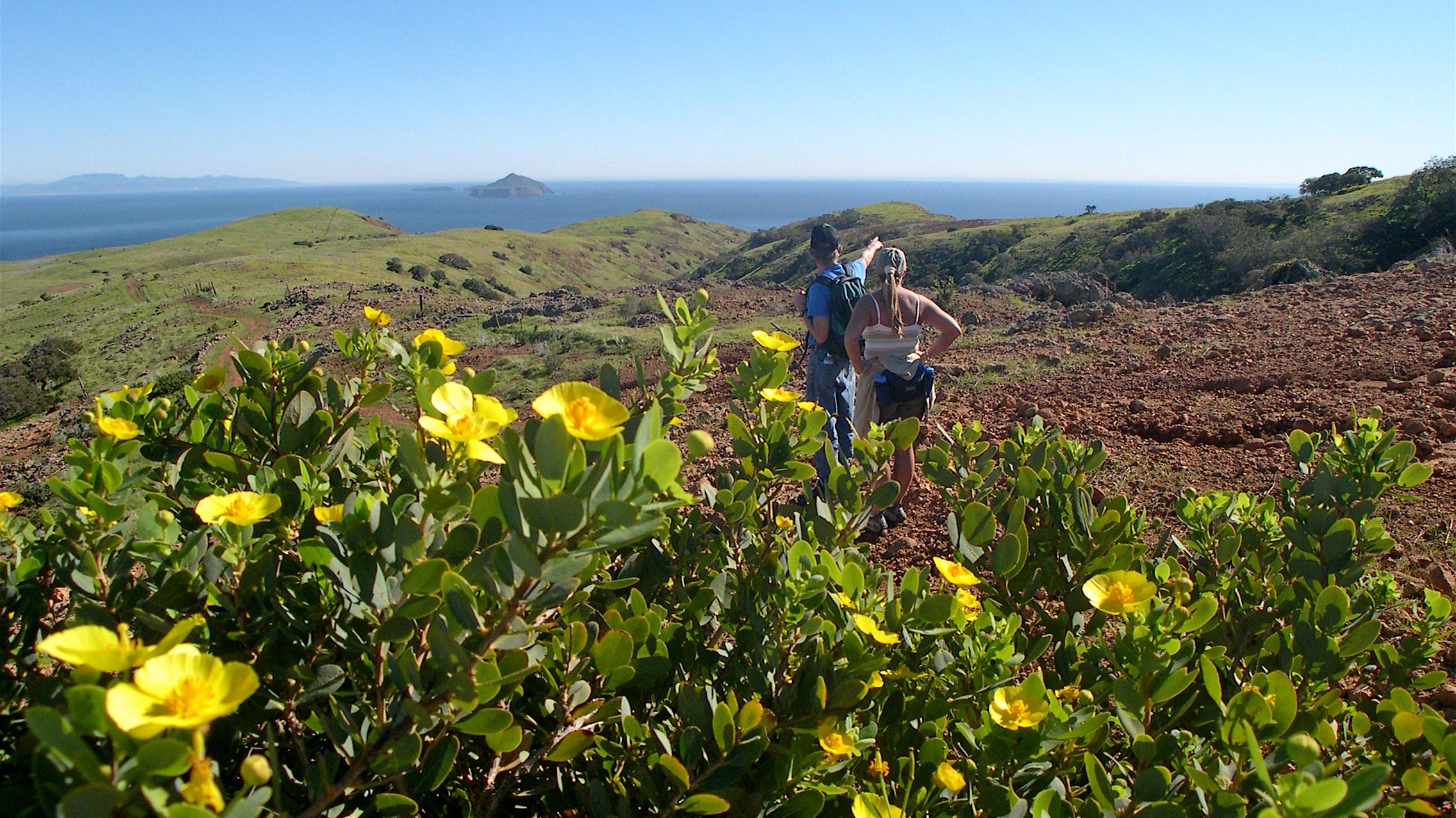 two hikers on a hill overlooking ocean with island in background