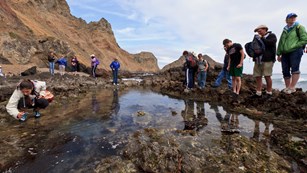 Visitors at tidepools along bluffs. ©Tim Hauf, timhaufphotography.com