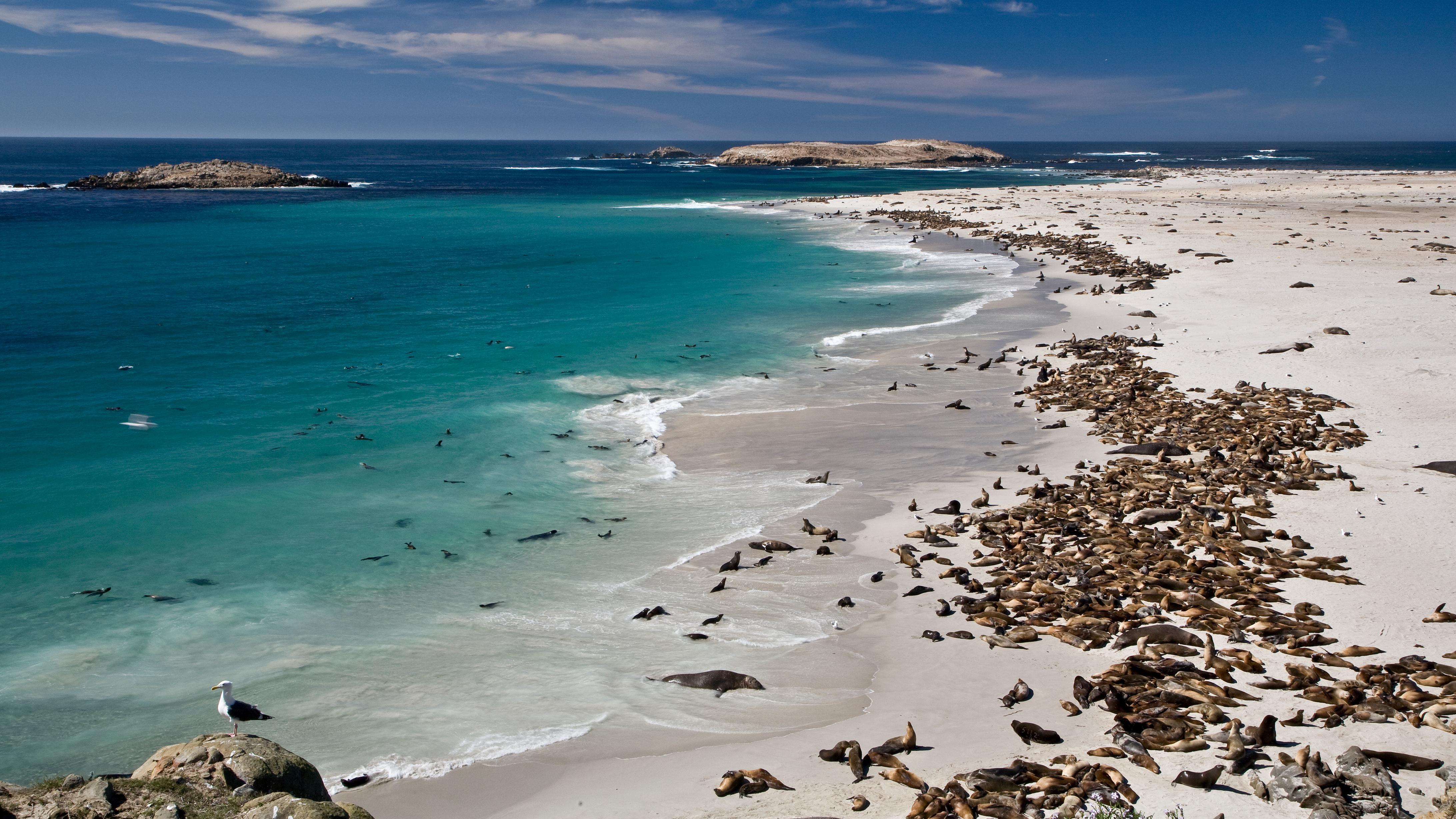 Point Bennett, San Miguel Island &copy;Tim Hauf, timhaufphotography.com