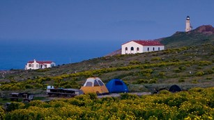 Camping tents on Anacapa Island. ©Tim Hauf, timhaufphotography.com