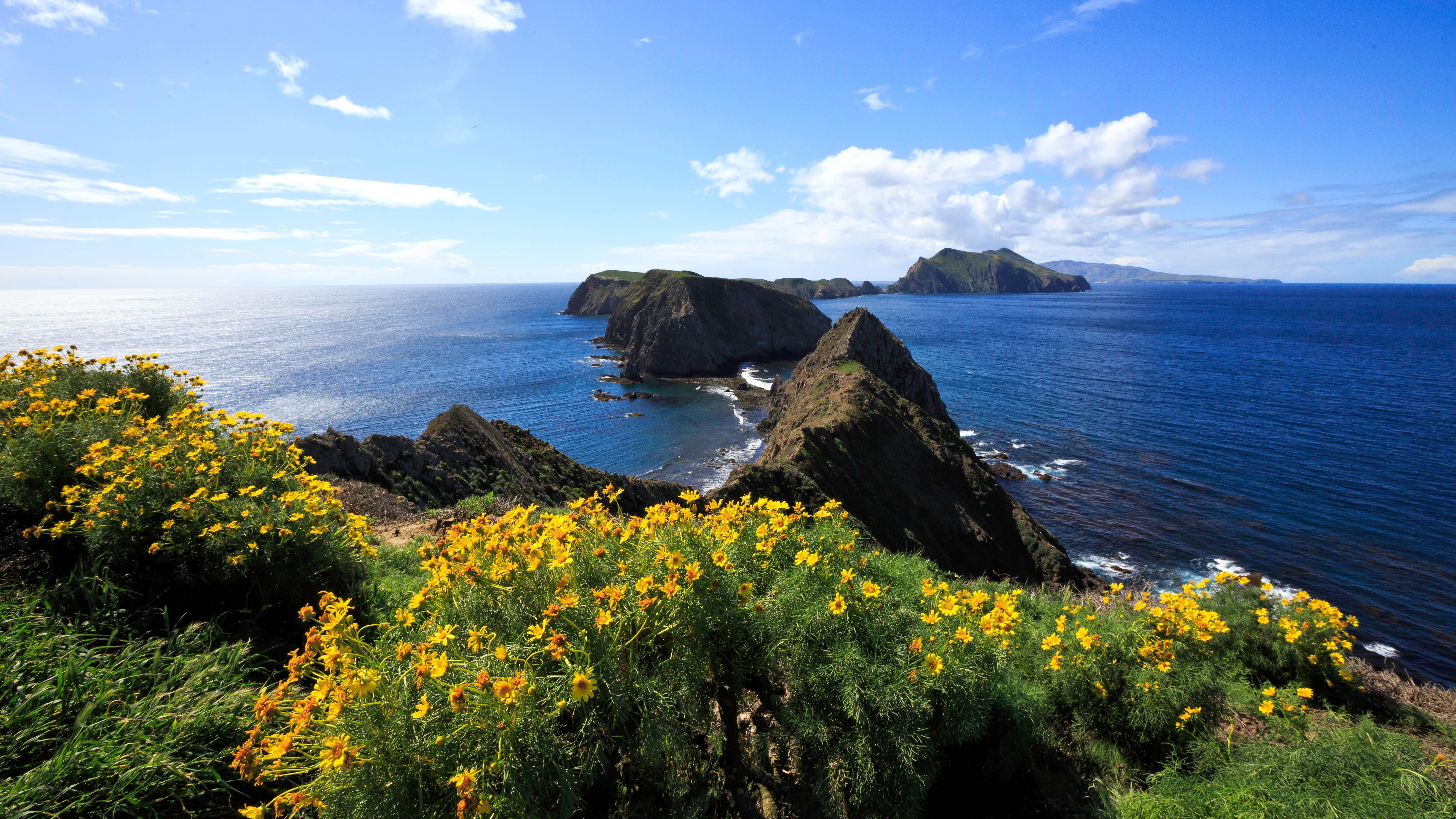 Yellow flowers on bluff overlooking islets. &copy;Tim Hauf, timhaufphotography.com