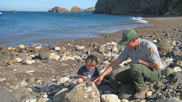 boy with ranger on rocky beach looking at crab