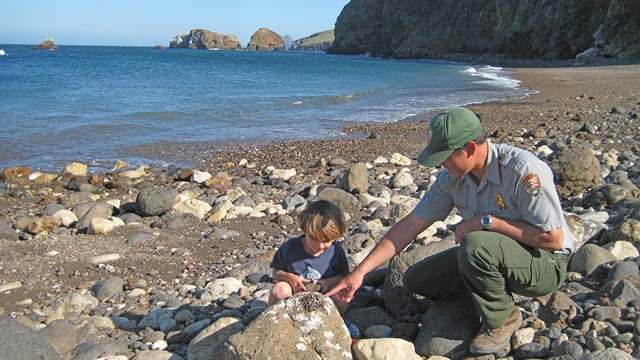 Ranger with boy on beach looking at sea shell. 