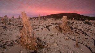 Caliche forest at sunset. ©Tim Hauf, timhaufphotography.com