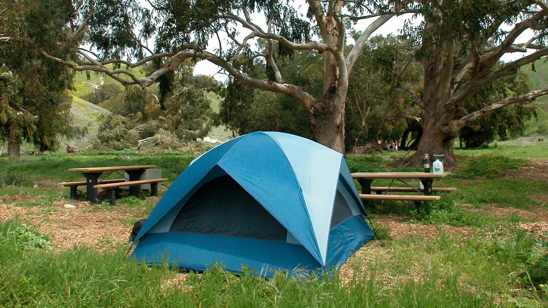 Blue tent in campground with trees. &copy; Kathy de-Wet Oleson