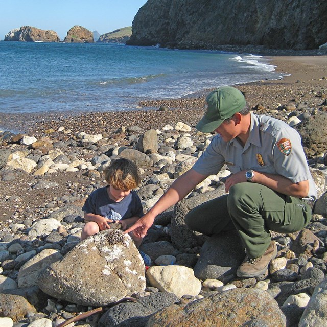 Park ranger and visitor on beach.