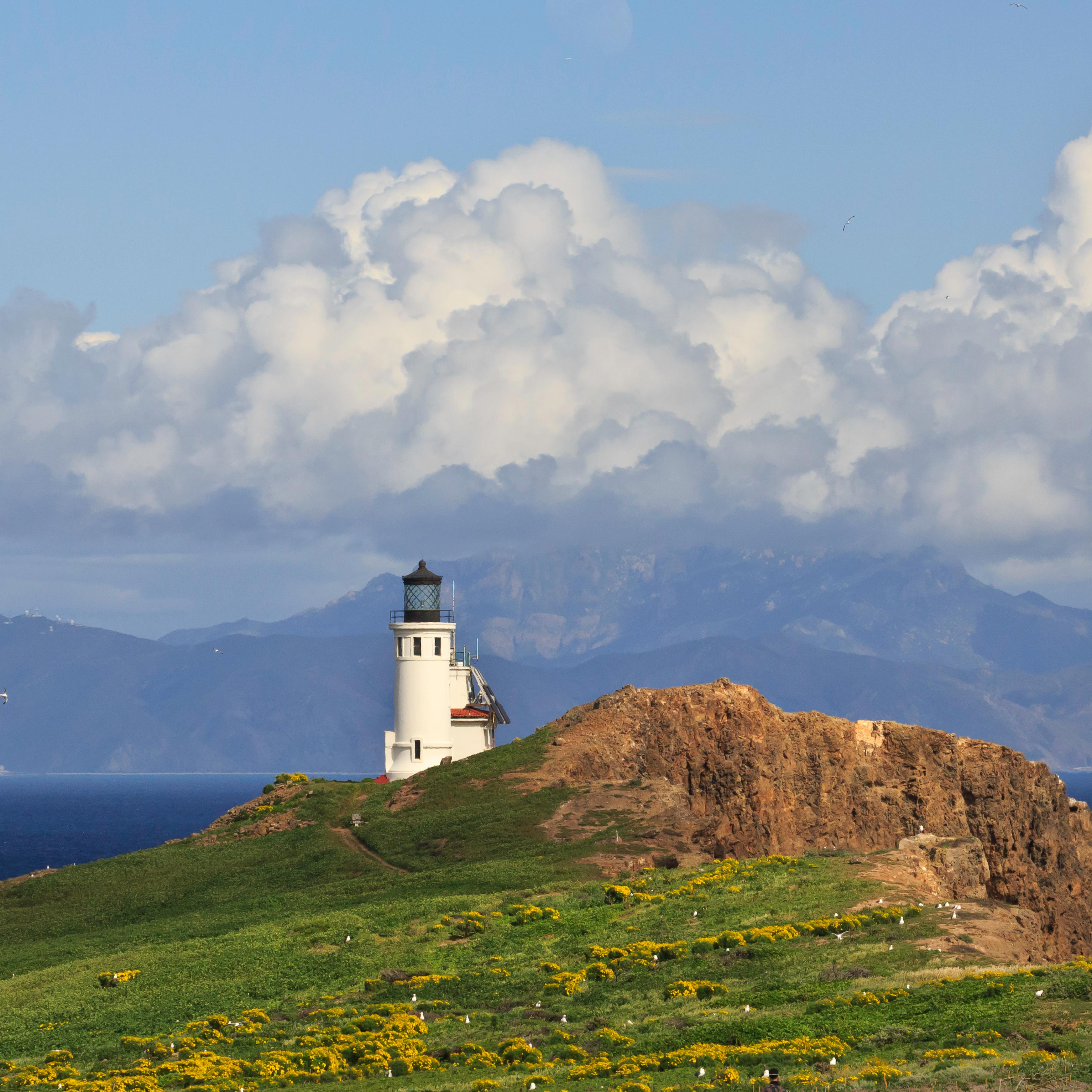 White lighthouse on steep cliff overlooking blue ocean. ©Tim Hauf, timhaufphotography.com
