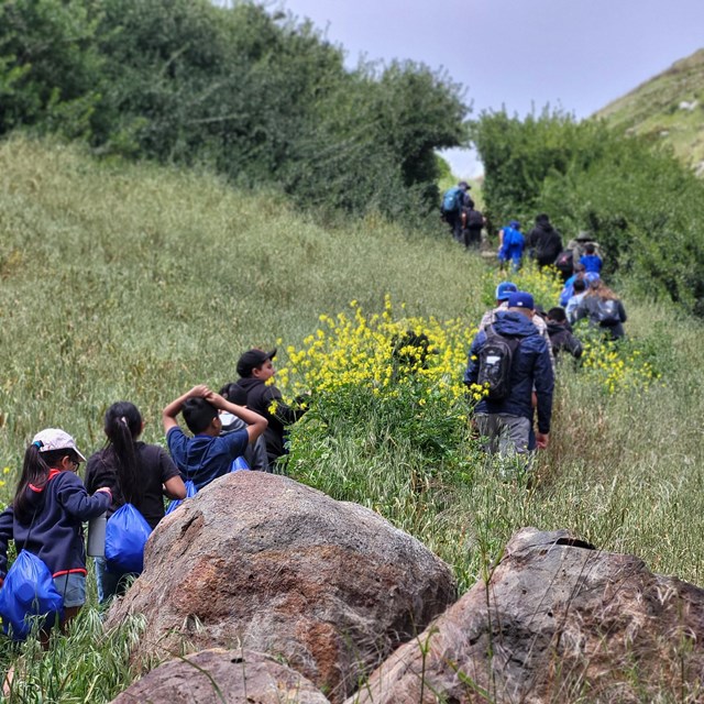 Students hiking up a trail with green plants and lichen covered rocks around them.