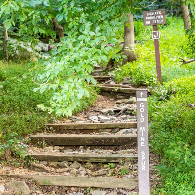 Gold Mine Spur Trailhead