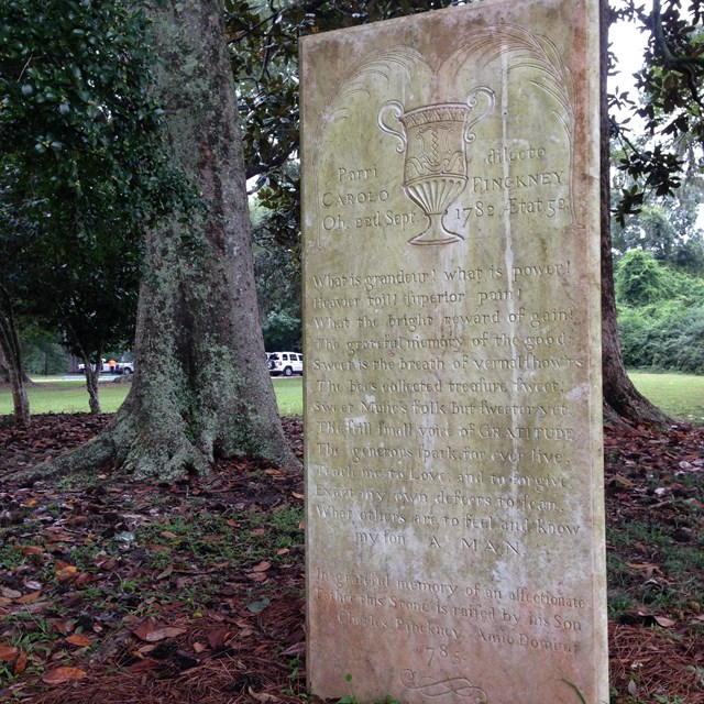 Headstone standing upright in a tree grove
