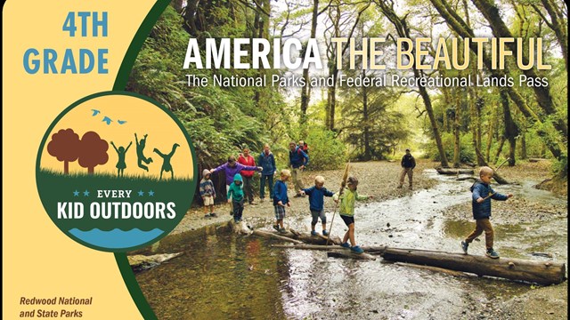 Children crossing a log in a forest creek with families, “Every Kid Outdoors” 4th grade park pass.