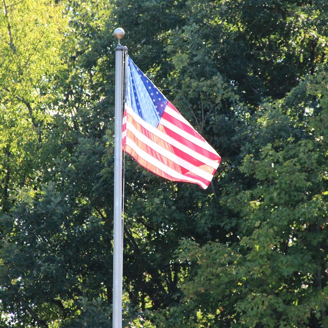 The U.S. flag waving on a pole in front of trees