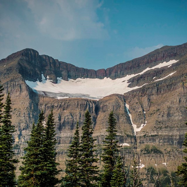 A glacier in a mountain, with evergreen trees in the foreground