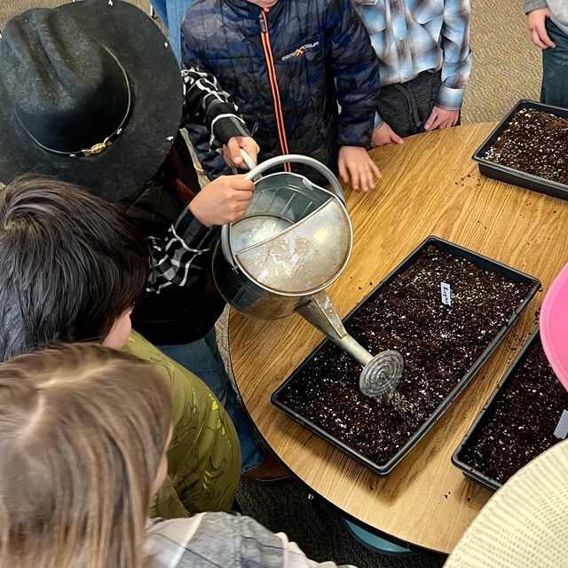 youth in classroom water trays of soil with metal watering can
