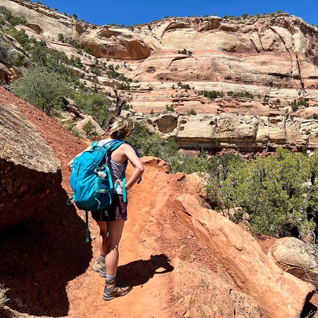 female hiker lookin up at the canyon walls on a hiking trail