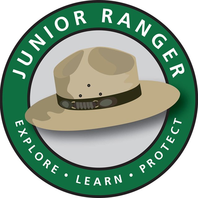 junior ranger logo with flat hat