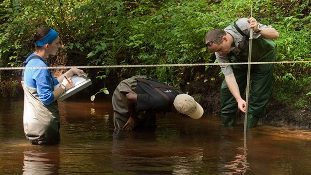 Three people standing in water taking depth measurements