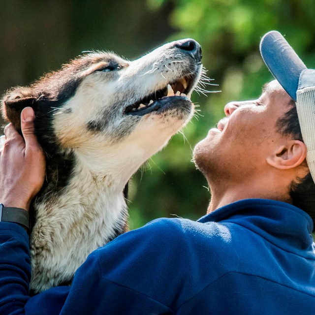 a man in a ball cap smiles and pets a husky