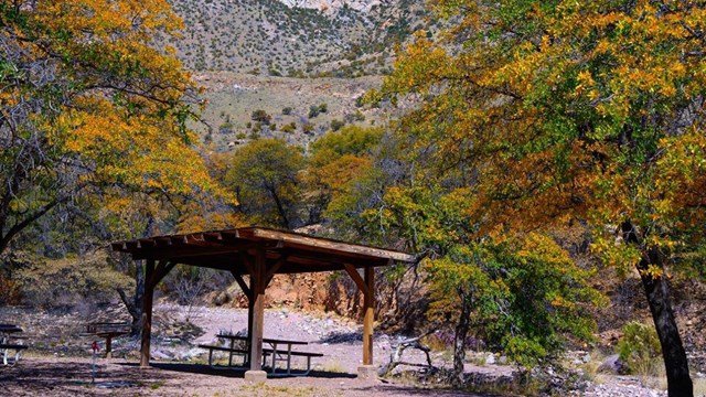 A ramada structure in oak trees with a mountain peak in the background