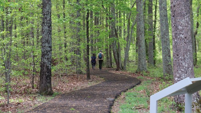 Two visitors walk down a battlefield trail with budding trees all around