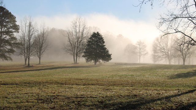 A foggy view of a green field 