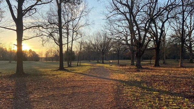 Sun rises on open field with scattered trees