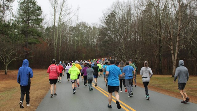 Visitors run down the loop road