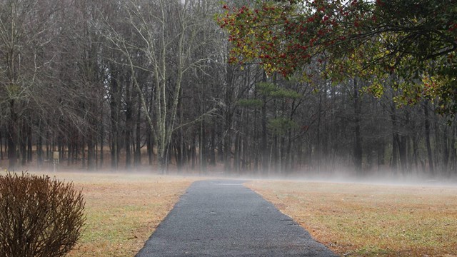 fog rises on paved path