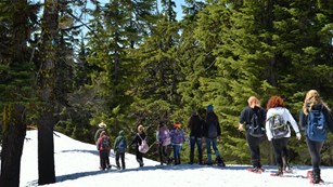 Students snowshoe with a ranger at Crater Lake.