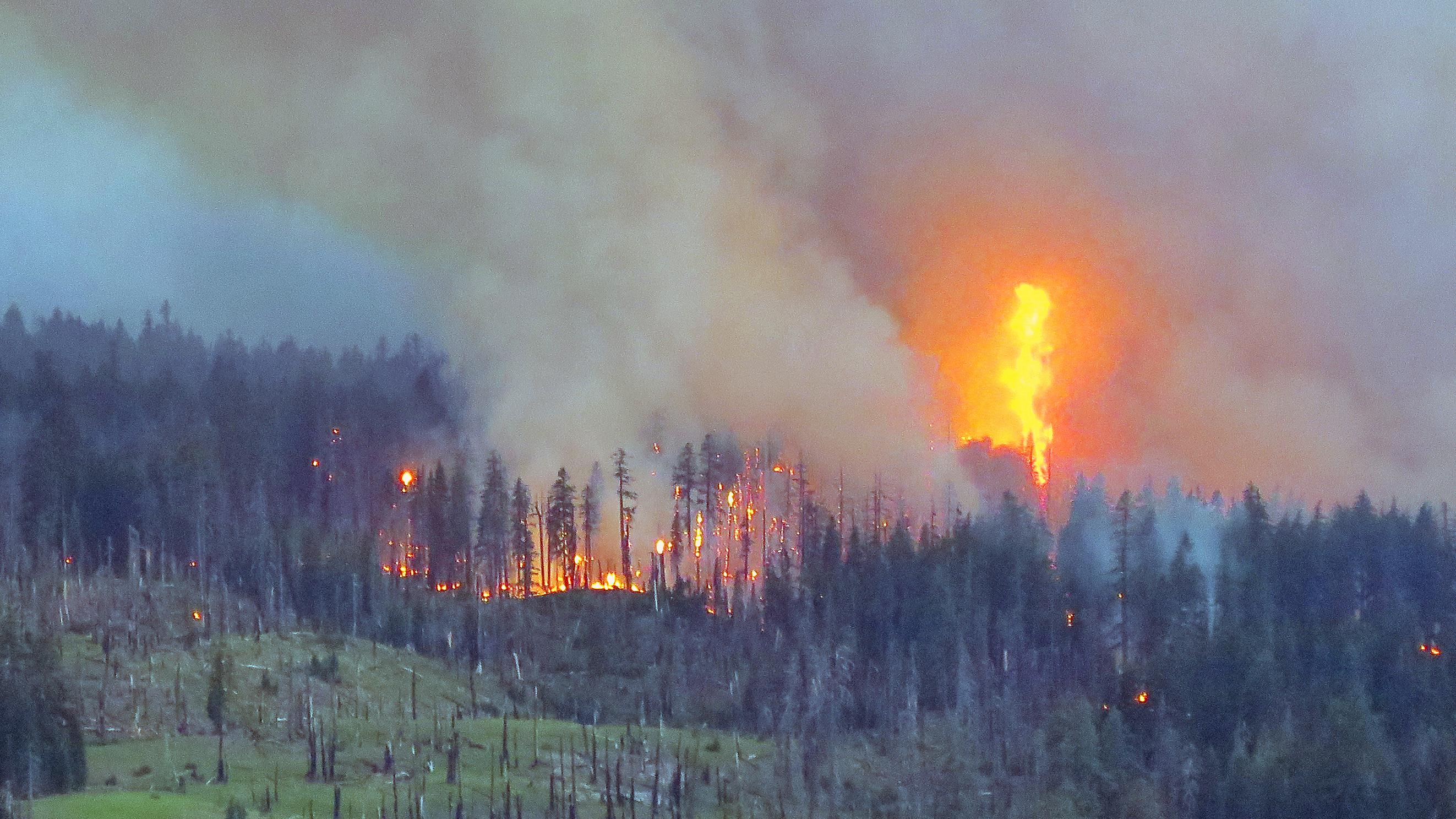 A Plume of smoke rises and flames are visible from a  wildfire