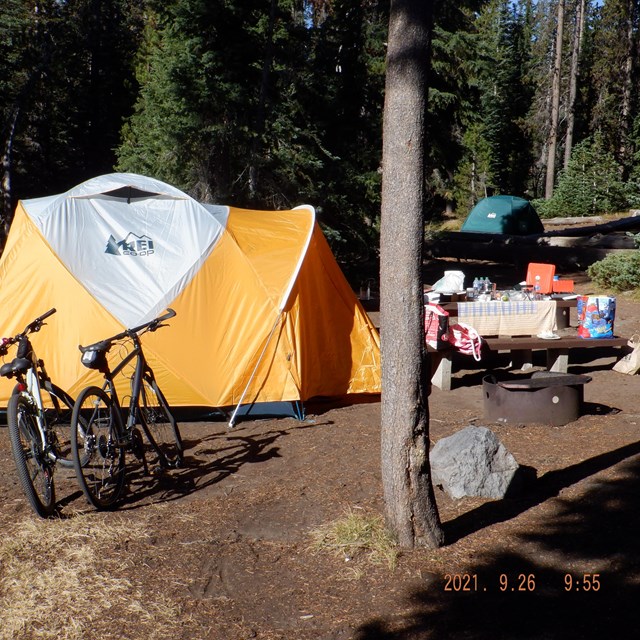 two bicycles stand aside a yellow and white tent, a picnic table has food and other accouterments,  