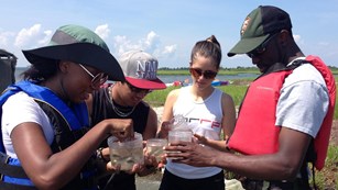 Three volunteers checking water samples with a ranger
