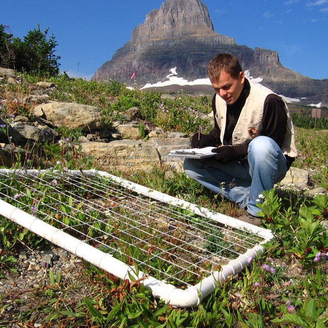 Young man squats next to plant grid, filling out data sheet with mountain in background.
