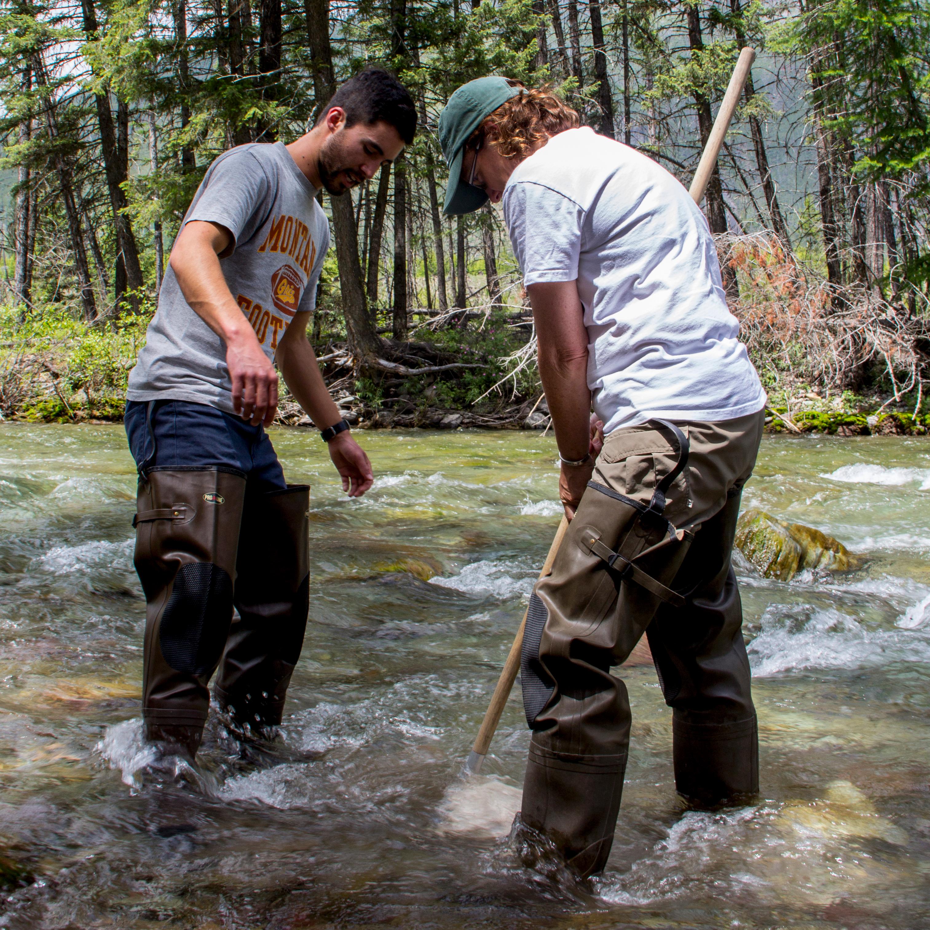 Two teachers with waders on stand in a stream, dipping a net in the water.