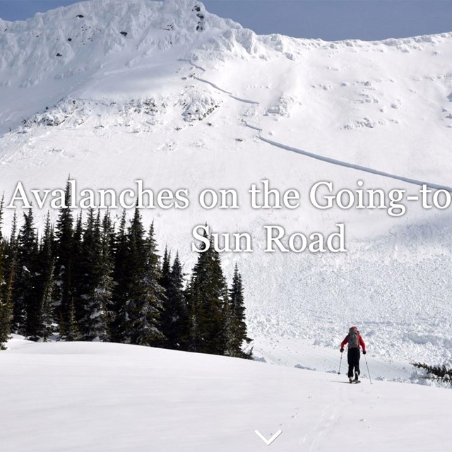 A lone person skis toward a large avalanche path.