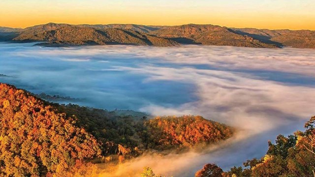 Pinnacle overlook with fog rolling over treetops. 
