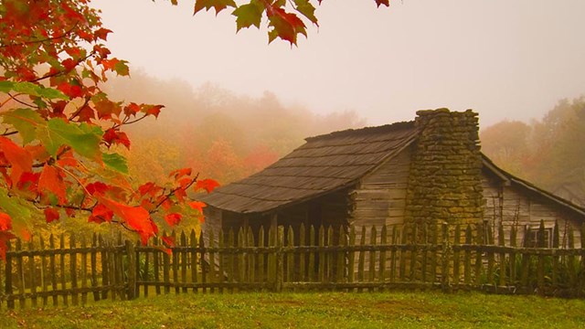 Cabin in the middle of a green field with autumn leaves. 