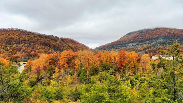 mountain covered by fall foliage with a gap in the middle